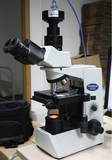 日本奥林巴斯CX-22 or 31/双or三目生物显微镜
